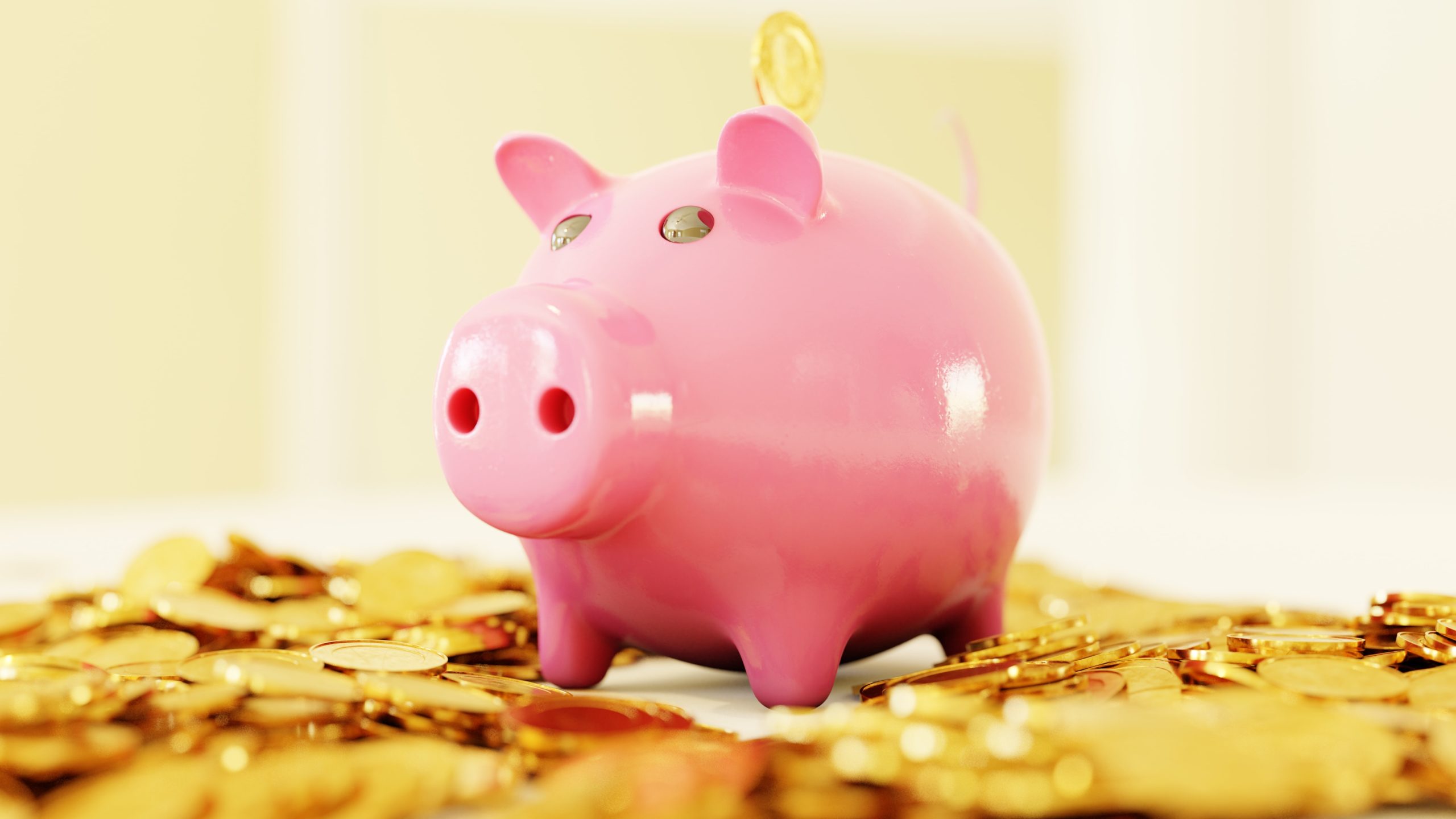 seo budget